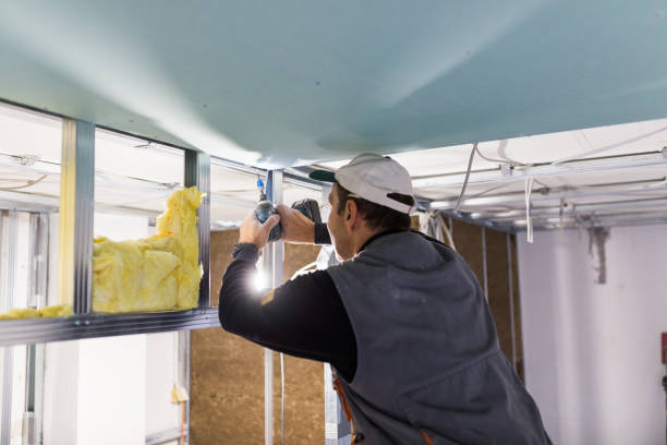 Professional Insulation Contractor in SC